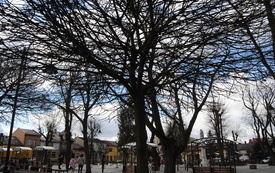 Przedwiośnie na włoszczowskim rynku. 1