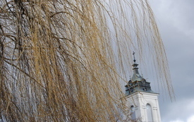 Przedwiośnie na włoszczowskim rynku. 3