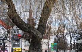 Przedwiośnie na włoszczowskim rynku. 4