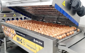 Rodzina Eligiusza i Jadwigi Pasoni&oacute;w z Woli Wiśniowej żyje z kurzej fermy od 1981 roku. 1