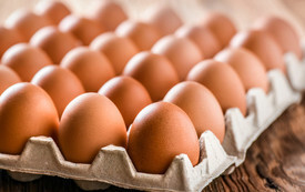 Rodzina Eligiusza i Jadwigi Pasoni&oacute;w z Woli Wiśniowej żyje z kurzej fermy od 1981 roku. 10