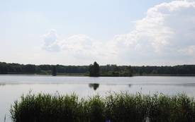 Zbiornik Klekot w gminie Włoszczowa. 4