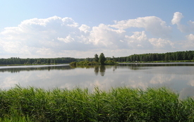 Zbiornik Klekot w gminie Włoszczowa. 7