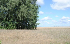 Renata Szafrańska od 29 lat prowadzi z mężem gospodarstwo rolne. 3