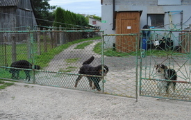 Zagroda Tulu Tulu w Koniecznie. 3