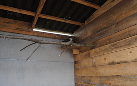 Zagroda Tulu Tulu w Koniecznie. 38