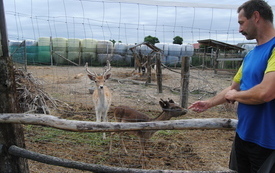 Zagroda Tulu Tulu w Koniecznie. 48