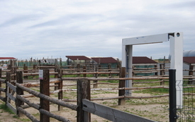 Zagroda Tulu Tulu w Koniecznie. 75