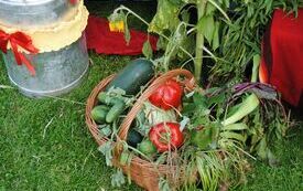 Stoiska dożynkowe. 15