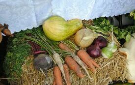 Stoiska dożynkowe. 31