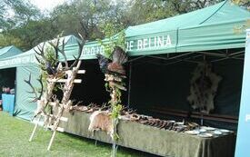 VIII Hubertus. Ziemiański. 14