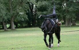 VIII Hubertus Ziemiański. 5