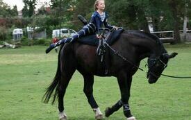 VIII Hubertus Ziemiański. 6