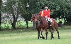 VIII Hubertus Ziemiański. 8