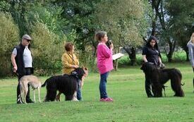 VIII Hubertus Ziemiański. 21