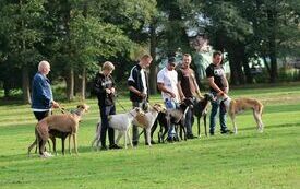 VIII Hubertus Ziemiański. 22