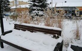 Z Włoszczowy znika zima, nadchodzi Boże Narodzenie. 26