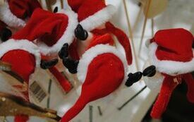 Z Włoszczowy znika zima, nadchodzi Boże Narodzenie. 40