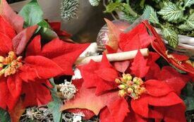 Z Włoszczowy znika zima, nadchodzi Boże Narodzenie. 48