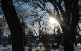 Włoszczowa 8 stycznia 2024. Zimowy rynek. 3