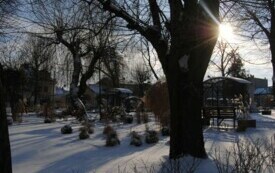 Włoszczowa 8 stycznia 2024. Zimowy rynek. 4