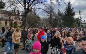 Konkurs palm w Kurzelowie. 1