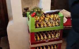 Konkurs palm w Kurzelowie. 7