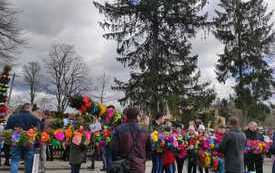 Konkurs palm w Kurzelowie. 8