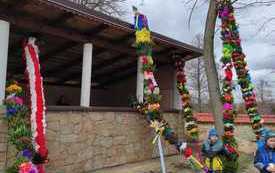 Konkurs palm w Kurzelowie. 11