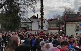 Konkurs palm w Kurzelowie. 22