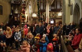 Konkurs palm w Kurzelowie. 28