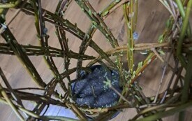 Ozdoby wielkanocne wykonane przez Panie z Koła Gospodyń Wiejskich w Bebelnie. 7