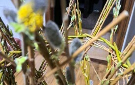 Ozdoby wielkanocne wykonane przez Panie z Koła Gospodyń Wiejskich w Bebelnie. 8