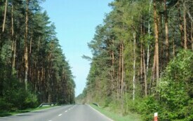 Turystyczne perełki gminy Włoszczowa. Droga Kurzel&oacute;w - Maluszyn.