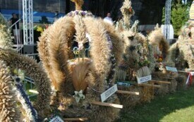 Inwestycje w gminie Włoszczowa w ramach funduszu sołeckiego. 30