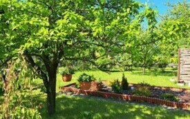 Rodzinne Ogrody Działkowe "Stokrotka" we Włoszczowie. 5