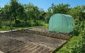 Rodzinne Ogrody Działkowe "Stokrotka" we Włoszczowie. 14