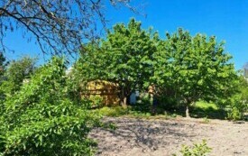 Rodzinne Ogrody Działkowe "Stokrotka" we Włoszczowie. 20