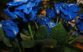 26 maja obchodzimy Dzień Matki. 6