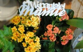 26 maja obchodzimy Dzień Matki. 11