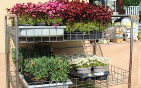 Przed nami świąteczne majowe dni. 6