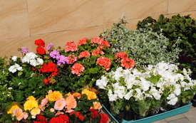 Przed nami świąteczne majowe dni. 7