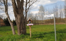 Przydrożne kapliczki i krzyze nadal są w naszej gminie otaczane czcią. Ludwin&oacute;w
