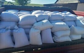 Jęczmień trafił do sześciu gospodarstw we wsiach Moskorzew, Chebdzie i Chlewiska. 2