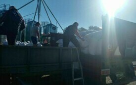 Jęczmień trafił do sześciu gospodarstw we wsiach Moskorzew, Chebdzie i Chlewiska. 4