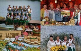 KGW i stowarzyszenia w gminie Włoszczowa. 10