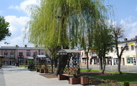 Wiosna na włoszczowskim Rynku. 8