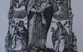 Kult maryjny we Włoszczowie na przestrzeni dziej&oacute;w w ikonografii.