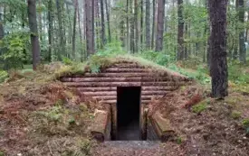 Batalion Las, do kt&oacute;rego należał pułkownik, wielokrotnie opisywany w literaturze oddział partyzancki działający w ramach 74 pp. AK, powstał podczas koncentracji w rejonie wsi i obozu Pękowiec w końcu  3