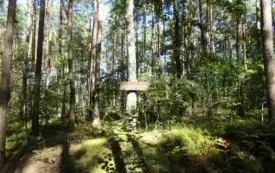 Batalion Las, do kt&oacute;rego należał pułkownik, wielokrotnie opisywany w literaturze oddział partyzancki działający w ramach 74 pp. AK, powstał podczas koncentracji w rejonie wsi i obozu Pękowiec w końcu  5